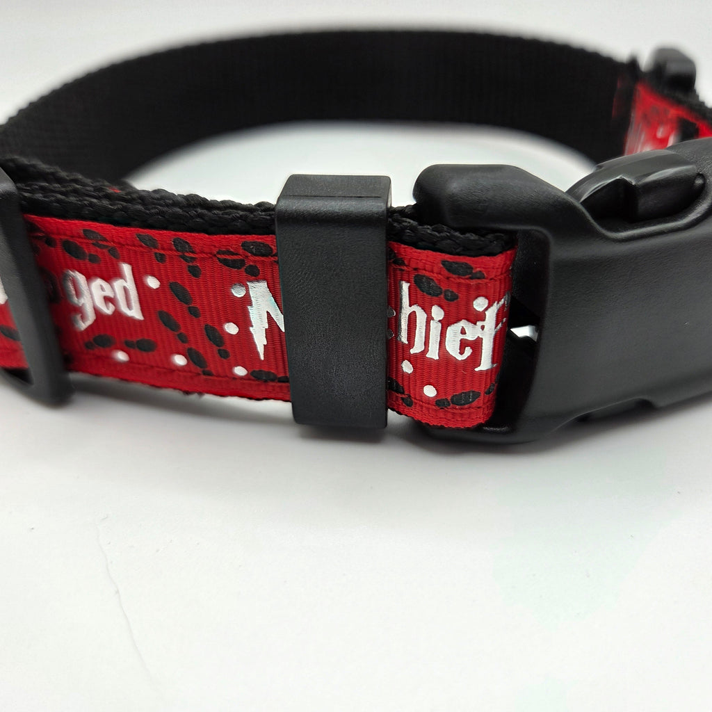 Mischief Managed Red, Blue, or Green Dog Collar - 1 inch