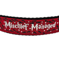 Mischief Managed Red, Blue, or Green Dog Collar - 1 inch