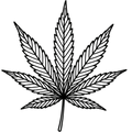 Cannabis Laser Engraved Leaf Green Sleeve