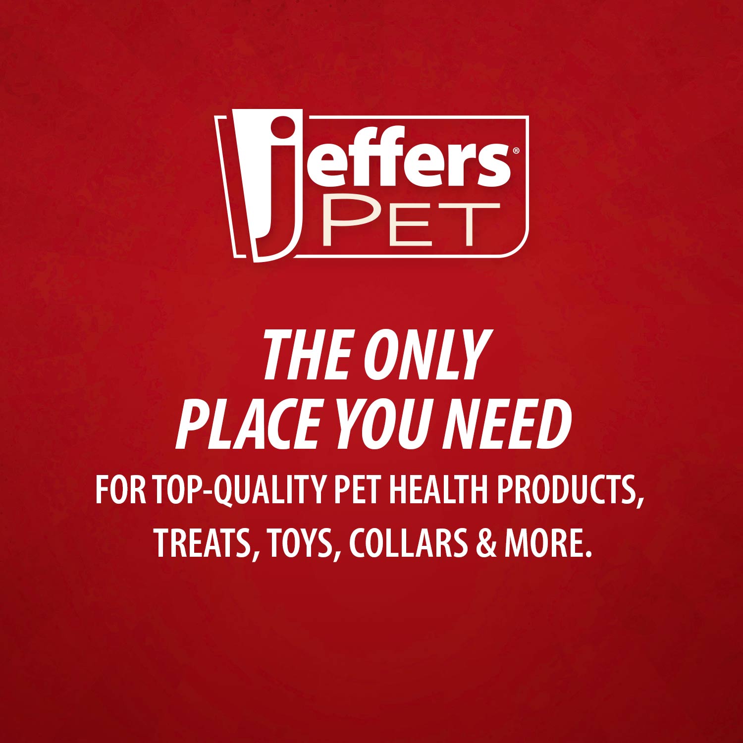 Jeffers Pet Sensitive Skin Unscented, Dye-Free, Fragrance-Free & Detergent-Free Pet Shampoo