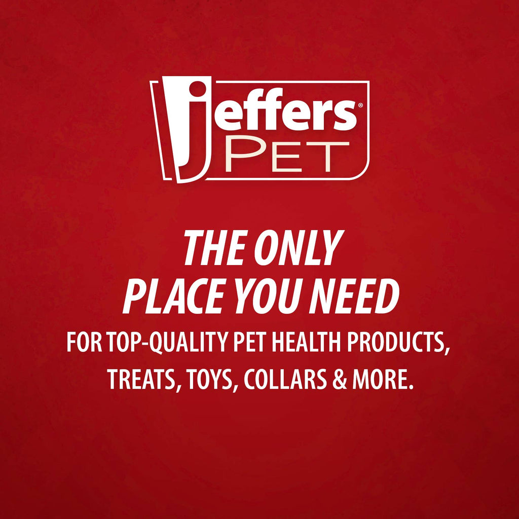 Jeffers Cactus Natural Rubber Dental Chew Toy for Dogs for Healthy Chewing Habits