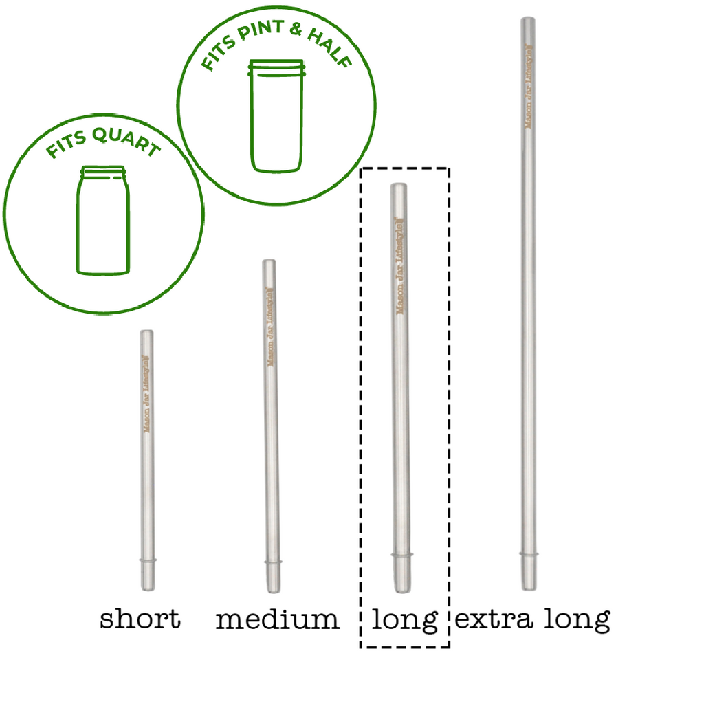 Individual Stainless Steel & Glass Straws for Mason Jars