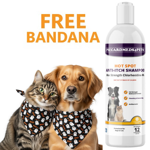 Piccardmeds4pets Hot Spot Anti-Itch Max Strength Pet Shampoo 12 oz. + FREE Bandana!