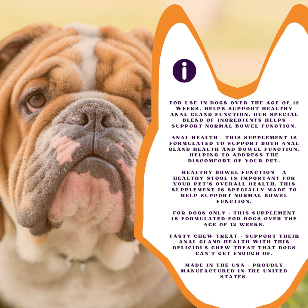 PiccardNaturePets No Stinky Butt Anal Gland Support 120ct Chews + FREE Bandana!