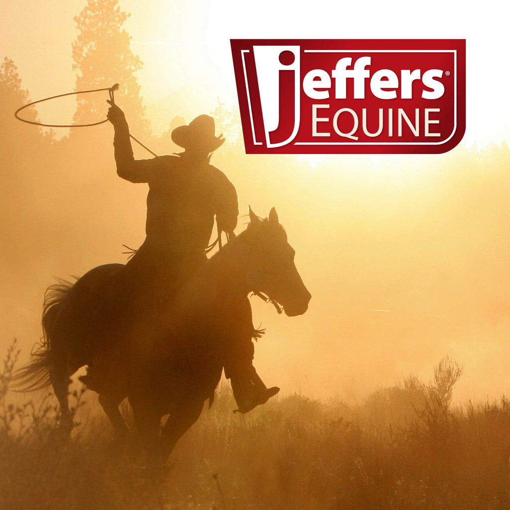Jeffers Equine Simply Natural Horse Shampoo for Sensitive Skin
