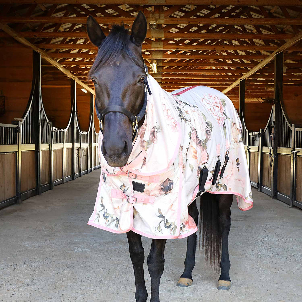 Pre-Sale Jeffers Expression Softmesh Combo Neck Horse Fly Sheet
