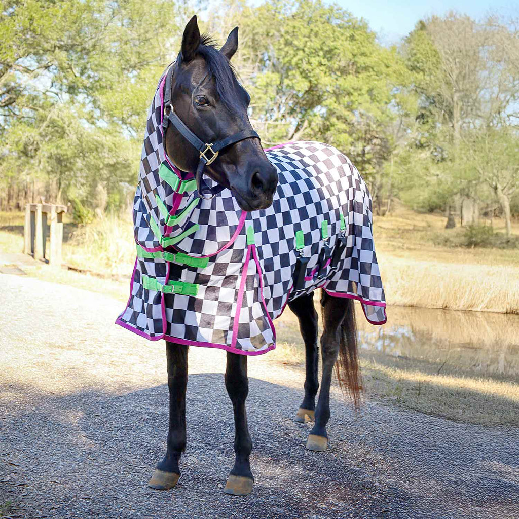 Pre-Sale Jeffers Expression Softmesh Combo Neck Horse Fly Sheet
