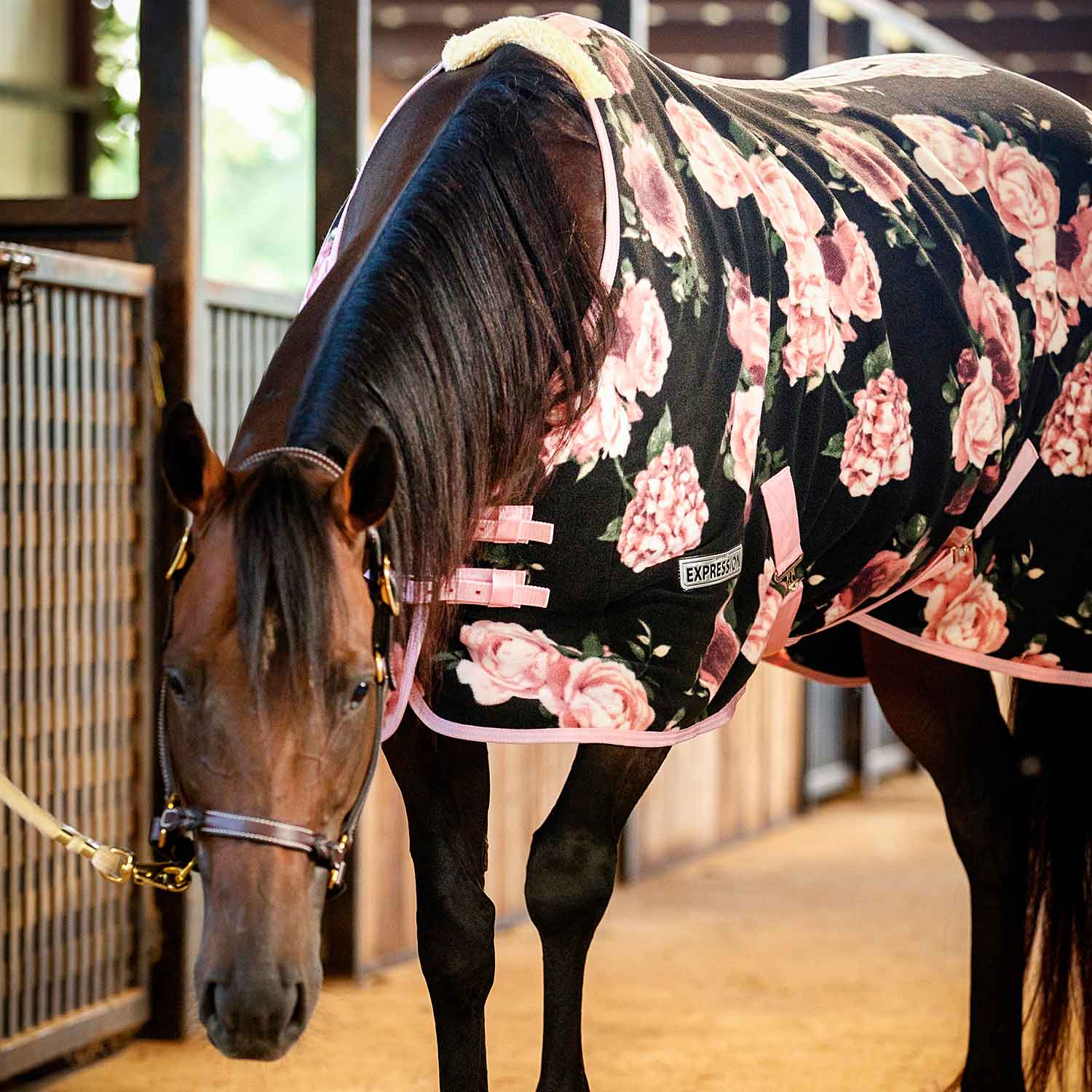 Jeffers Expression Standard Neck Fleece Horse Cooler
