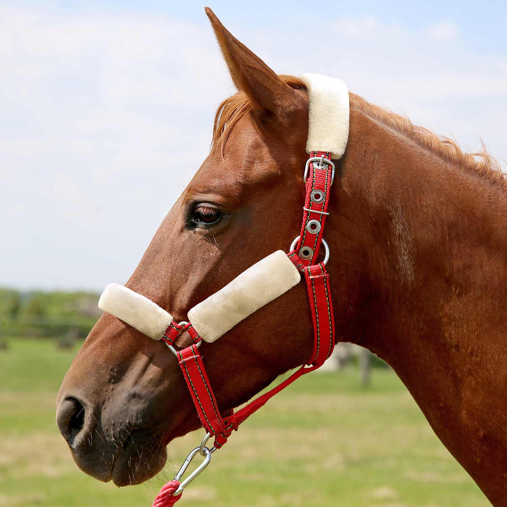 Jeffers Horse Fleece Halter Tube, 4 Piece Comfort Set