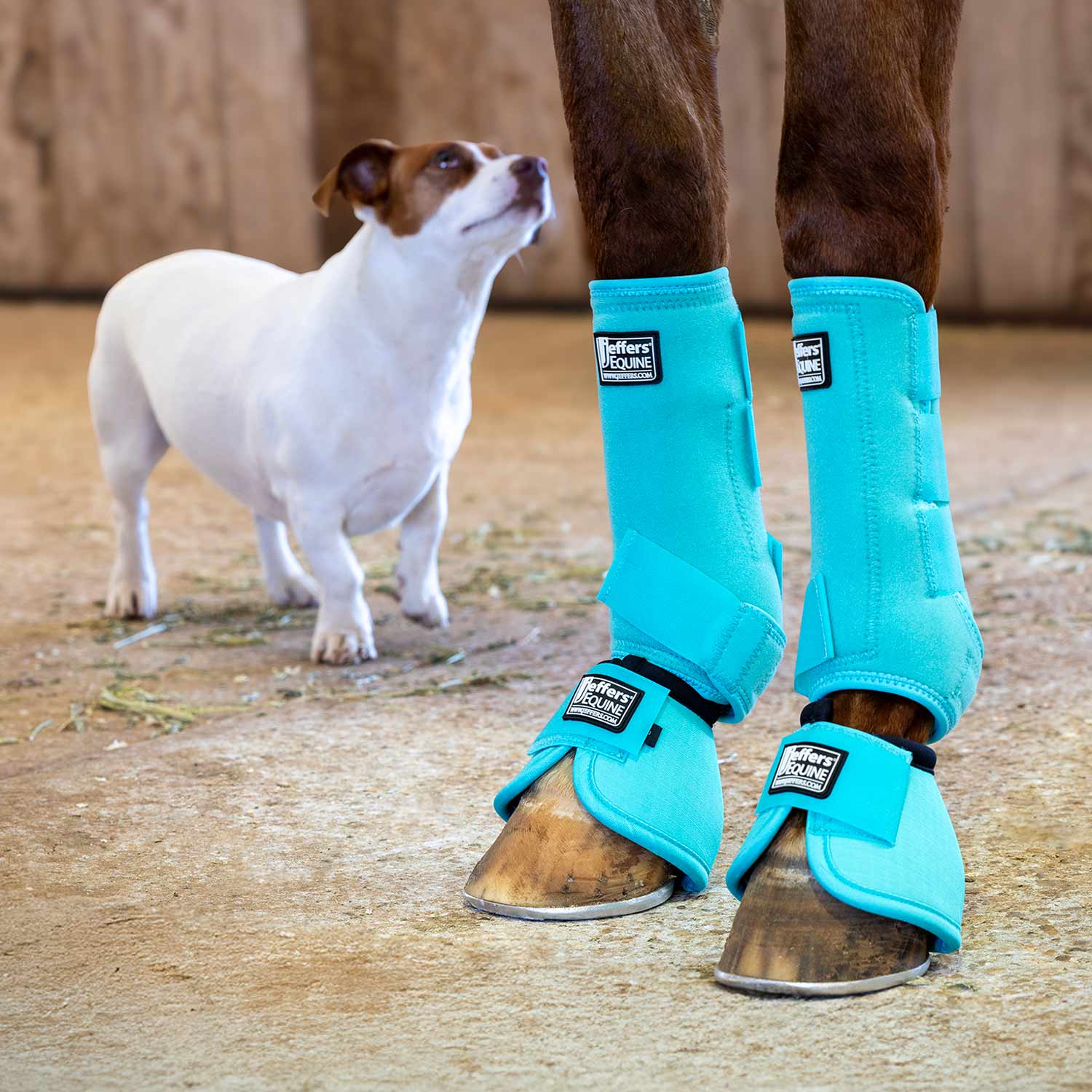 Jeffers Protective Horse Boots, Solid Colors
