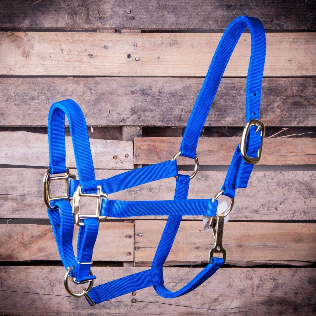 Jeffers Adjustable Halter with Throat Snap