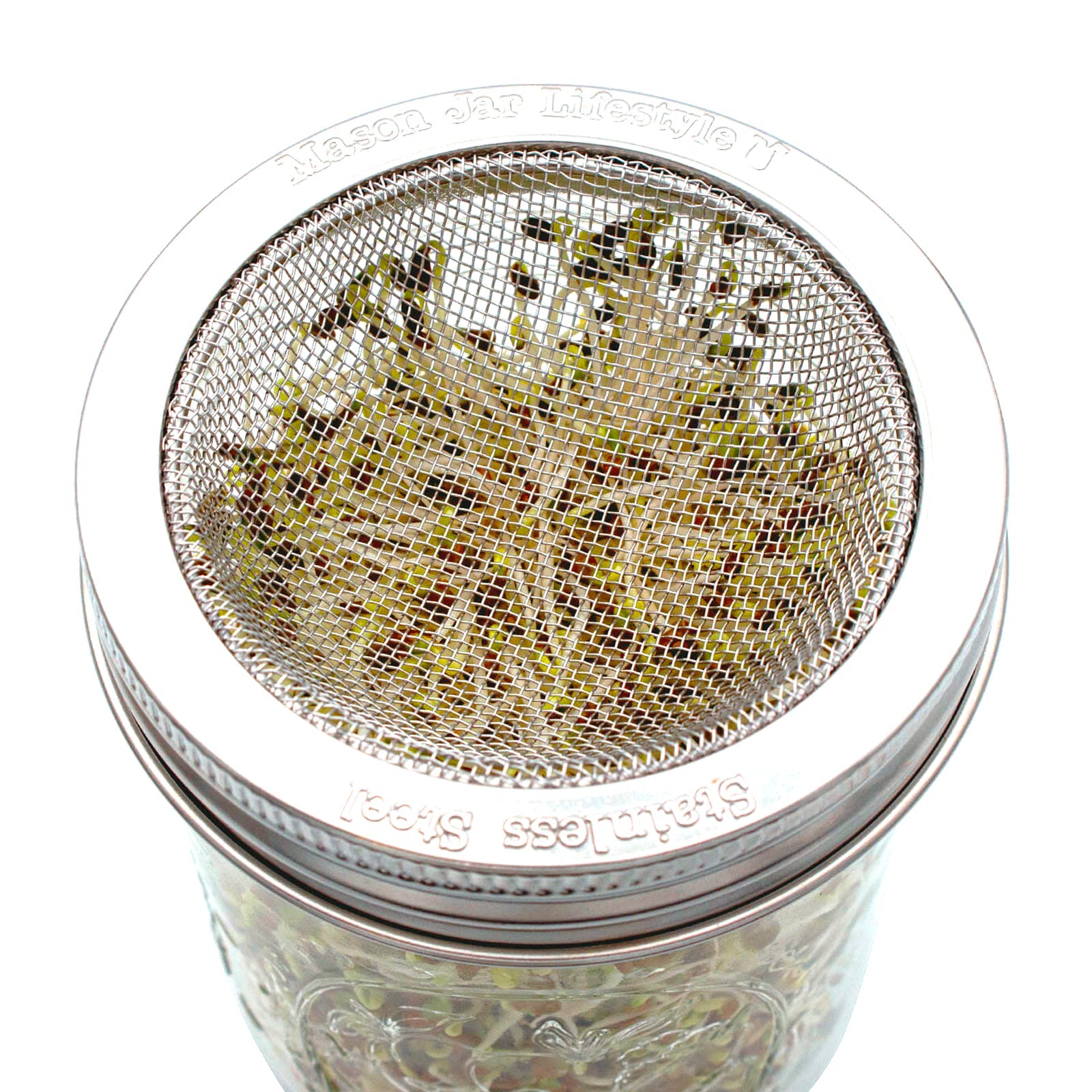 Curved Rust Proof Sprouting Lid and Band for Mason Jars