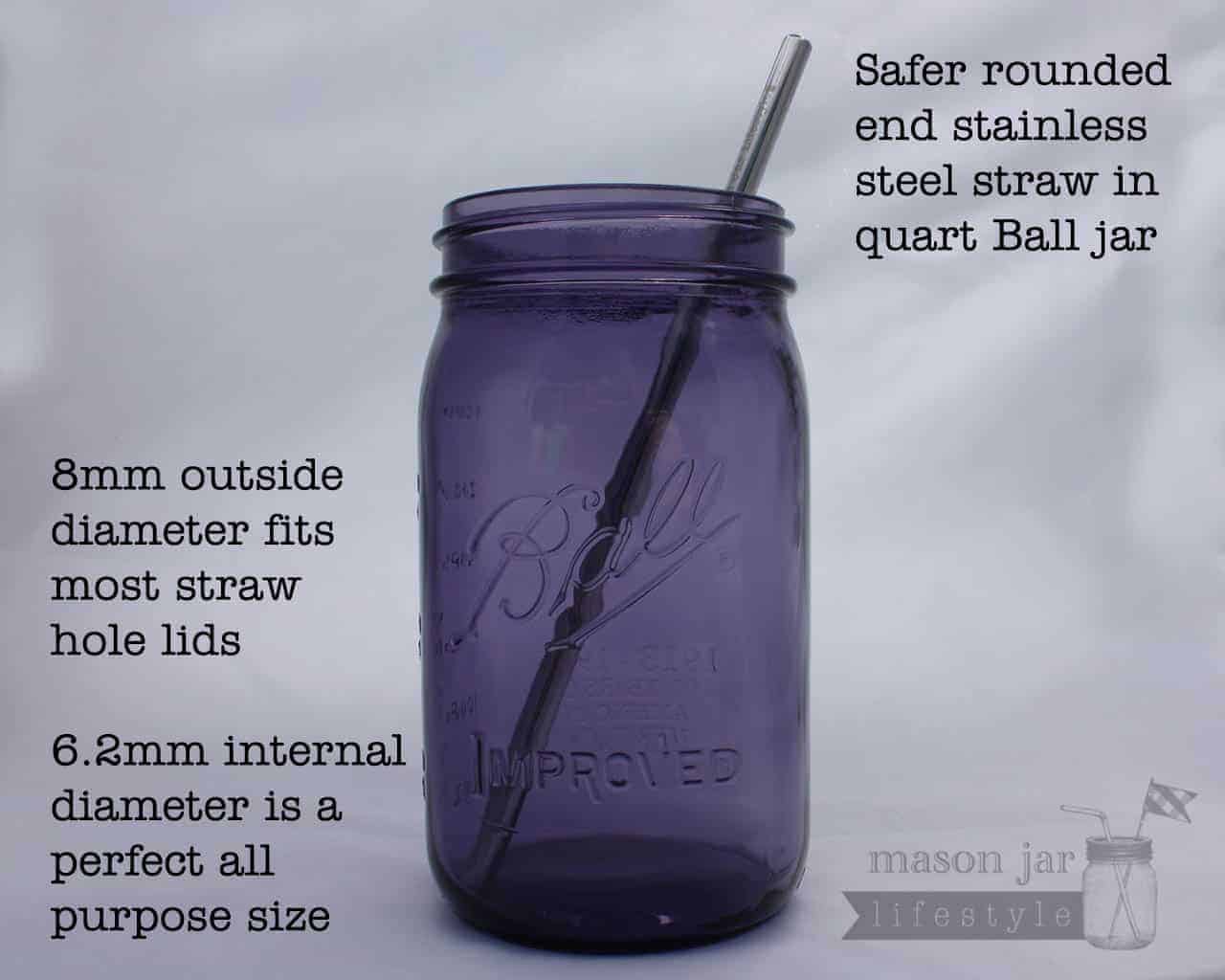 Long 9" Safer Rounded End Stainless Steel Straw for Quart Mason Jars