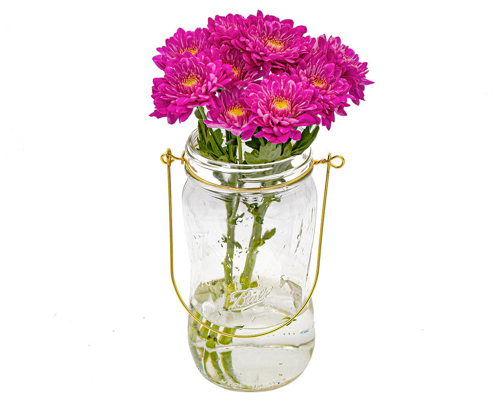 Gold Wire Handles for Mason Jars 6 Pack