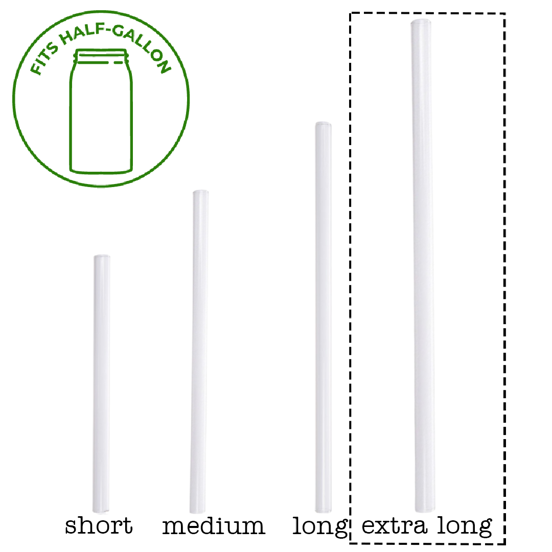 Individual Stainless Steel & Glass Straws for Mason Jars