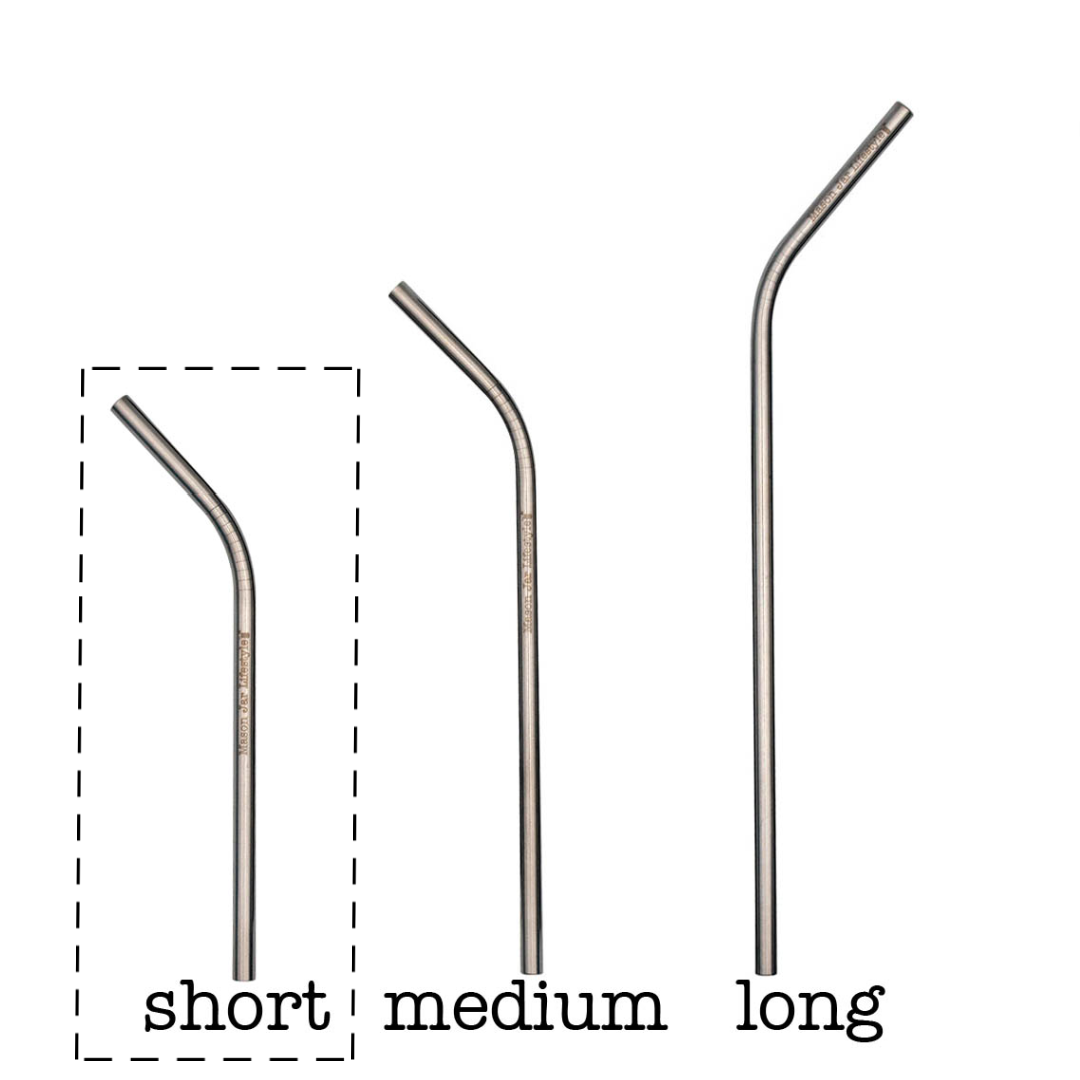 Individual Stainless Steel & Glass Straws for Mason Jars