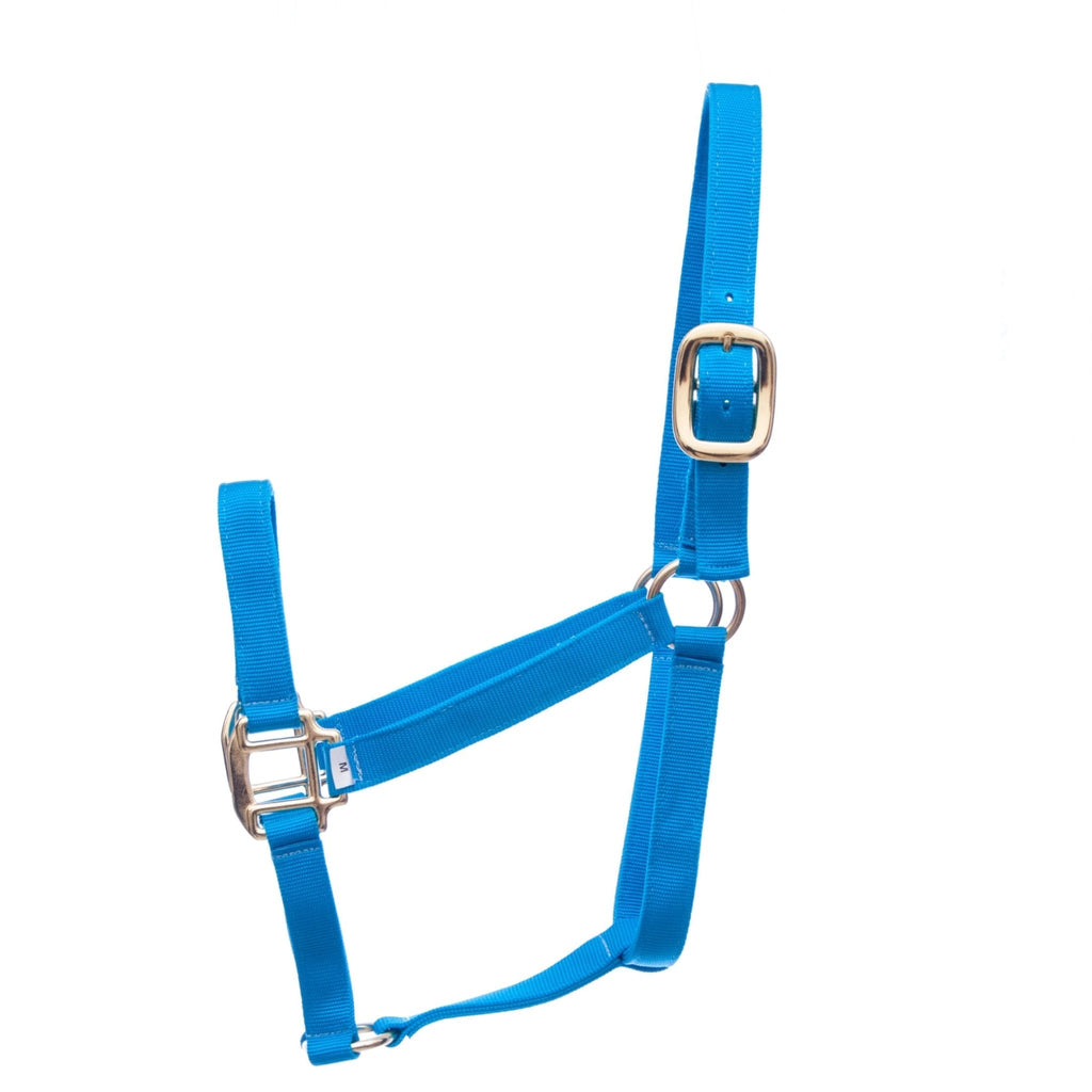 Jeffers Premium Nylon Weanling & Yearling Horse Halters, 3-Ply, 1"
