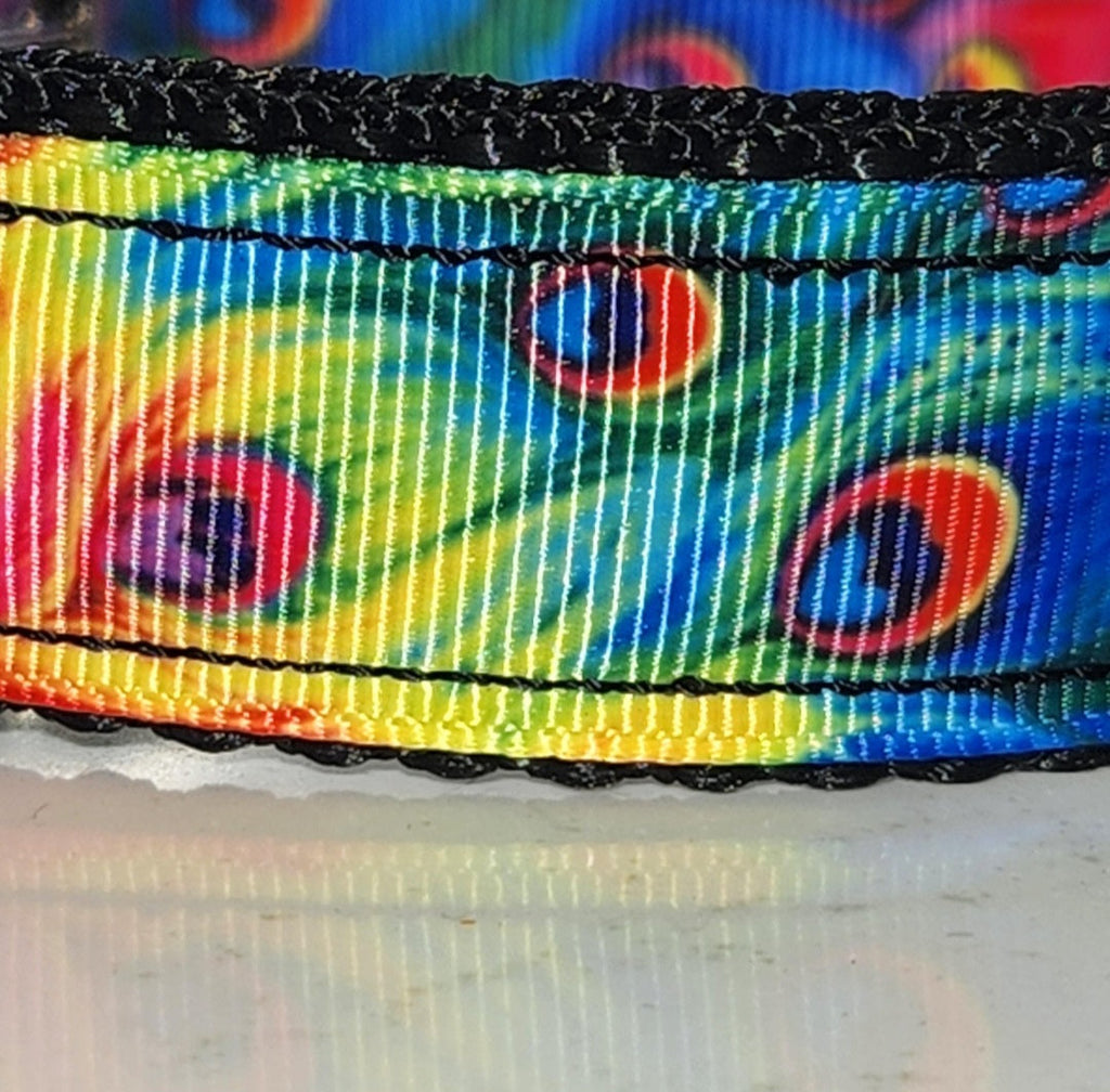 Vibrant Peacock Dog Collar – Large (13-22")