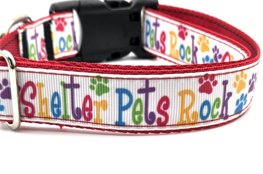 Shelter Pets Rock Dog Collar | 1 Inch Wide | Adjustable 13-22 Inches | Colorful Rescue Pet Gear | Shelter Advocate Gift | Rewarding Rover